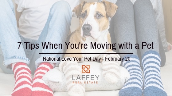 Tips for Moving with a Pet